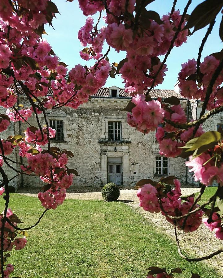 Domaine De Bourgville Monts-sur-Guesnes Exterior photo