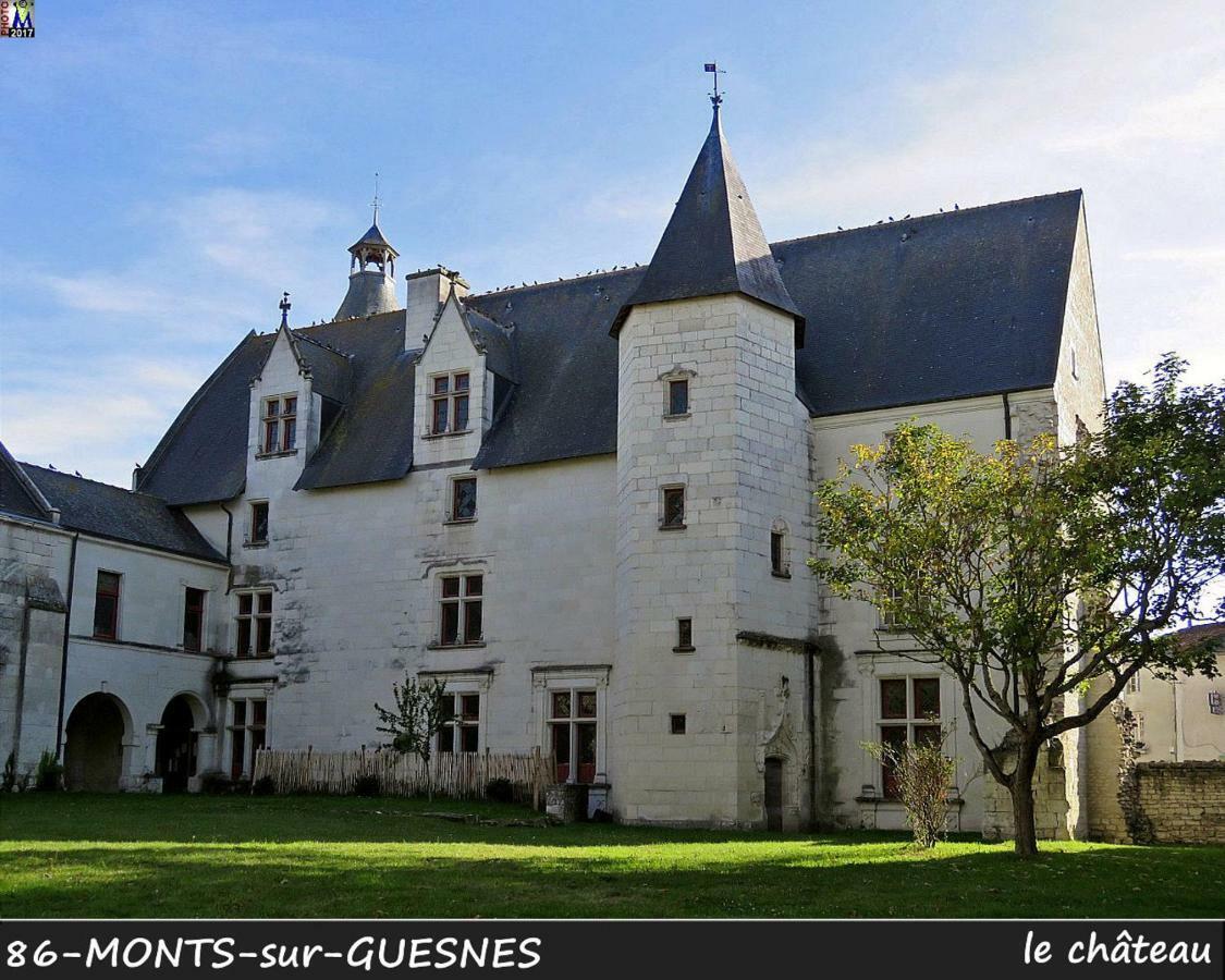 Domaine De Bourgville Monts-sur-Guesnes Exterior photo